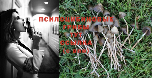 jwh Богородицк