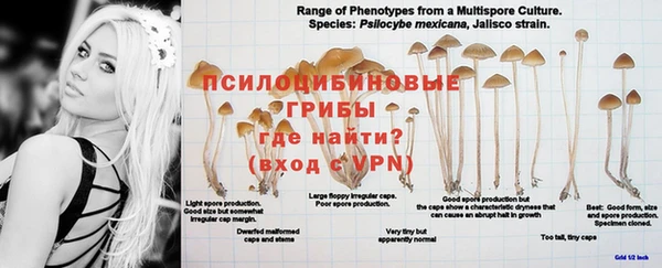 jwh Богородицк