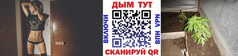 Канабис Amnesia  Цивильск 
